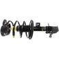 Monroe Quick-Struts - 172392