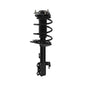 Monroe Quick-Struts - 173014