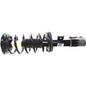 Monroe Quick-Struts - 272526