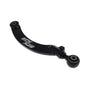 CONTROL ARMS ADJUSTABLE IND.
